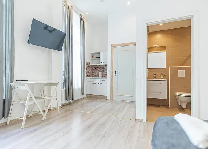 2 Spacious Apts For 6p, Only 7min To Stadthalle Apartment